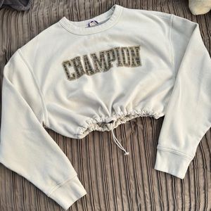 Champion sweater